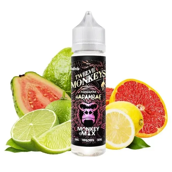TWELVE MONKEYS harambae longfill aroma nachfuellflasche mit fruchtigem aroma fuer e zigaretten in plastikflasche
