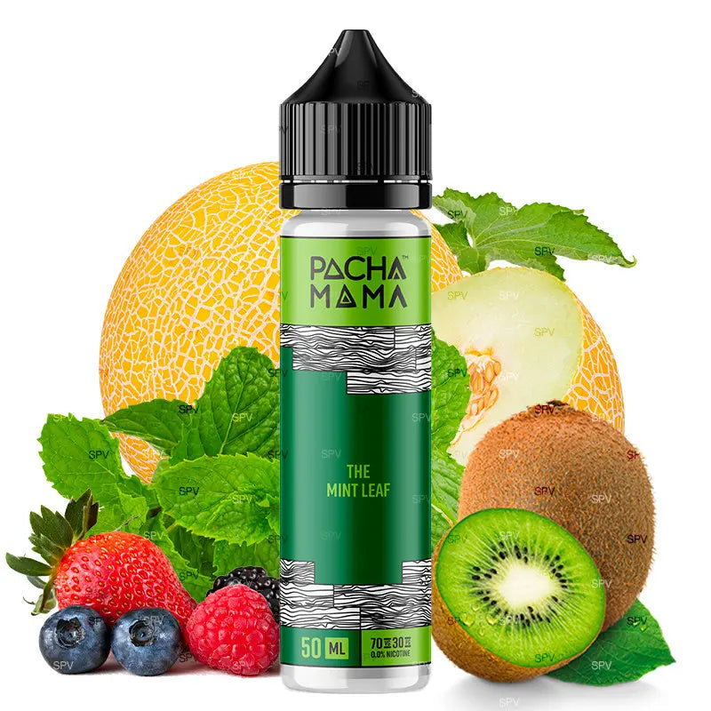 pacha mama e-liquid 50ml the mint leaf ohne nikotin