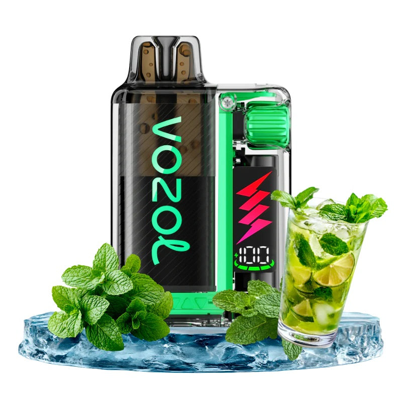 vozol vista plug starterset mit 1 pod menthol mojito 20mg nikotin
